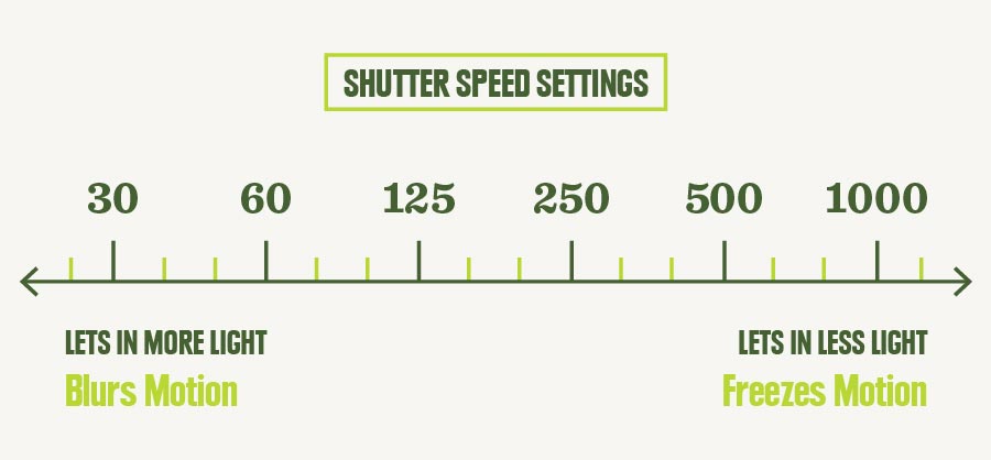 How To... Understand Exposure in Photography - Tuatara Tours